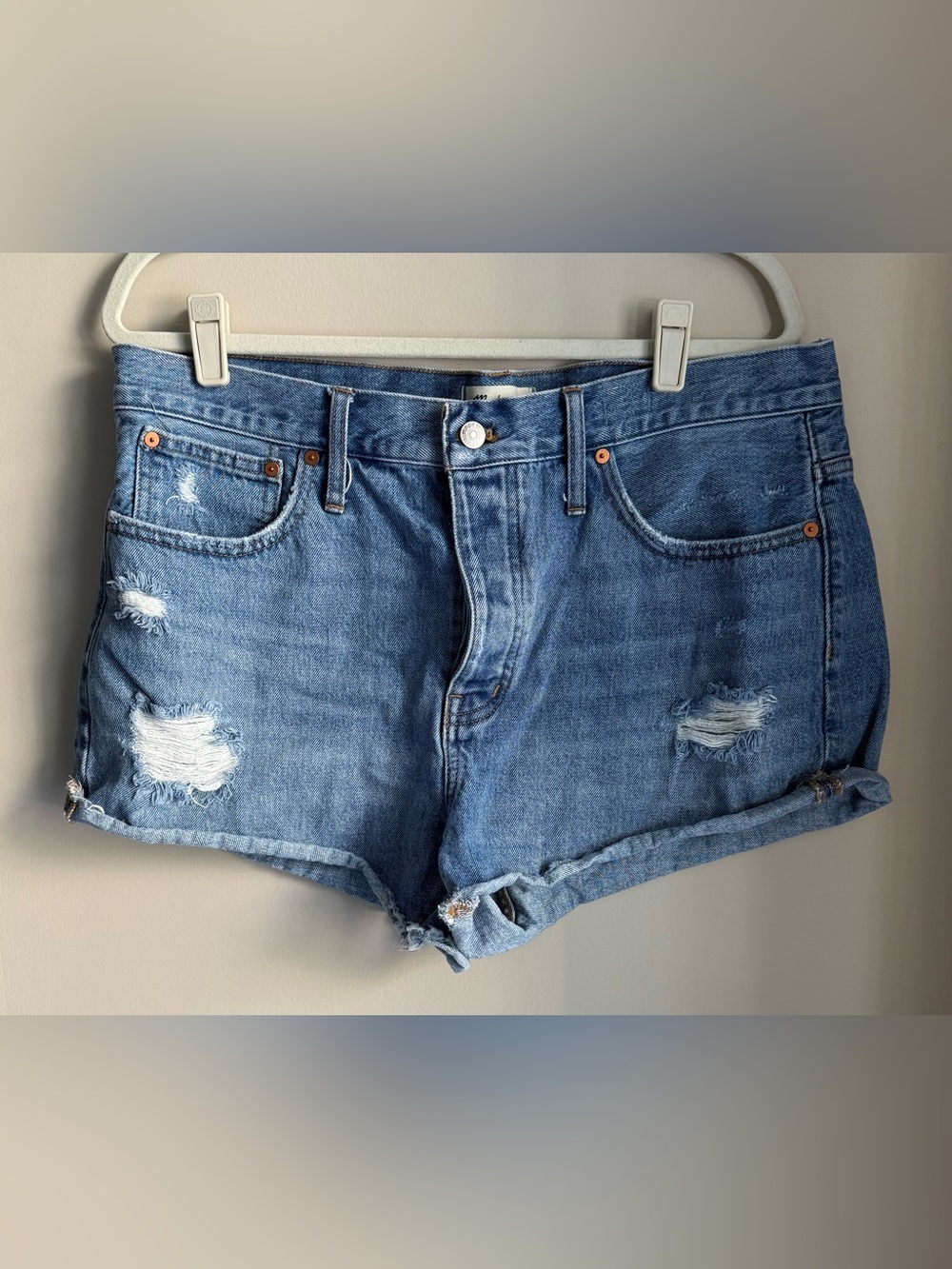 Madewell Releaxed Denim Shorts Size 31